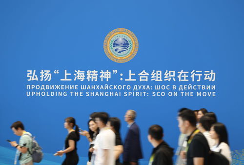 上合組織天津峰會 攜手共建繁榮發展共同家園，共走可持續發展之路