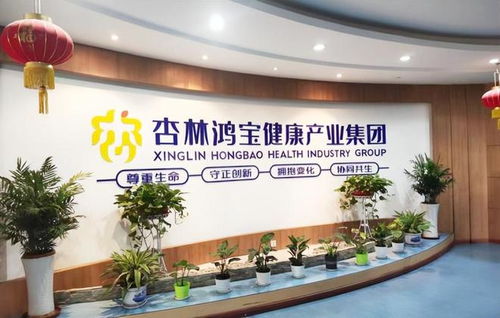 艾瑪醫(yī)療科技攜手杏林鴻寶集團(tuán) 益寶健康項(xiàng)目軟件開(kāi)發(fā)合作，共筑智慧醫(yī)療新生態(tài)